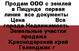 Продам ООО с землей в Пицунде, первая линия, все документы › Цена ­ 9 000 000 - Все города Недвижимость » Земельные участки продажа   . Краснодарский край,Геленджик г.